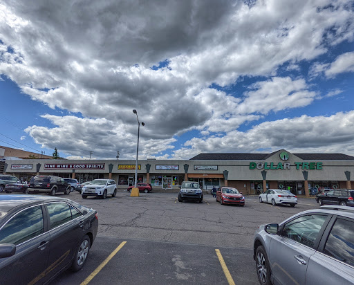 Dollar Store «Dollar Tree», reviews and photos, 208 Meadow Ave, Scranton, PA 18505, USA