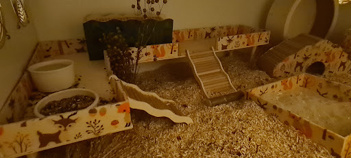 Jennys Hamster Bastelstube unter Düsseldorf, 