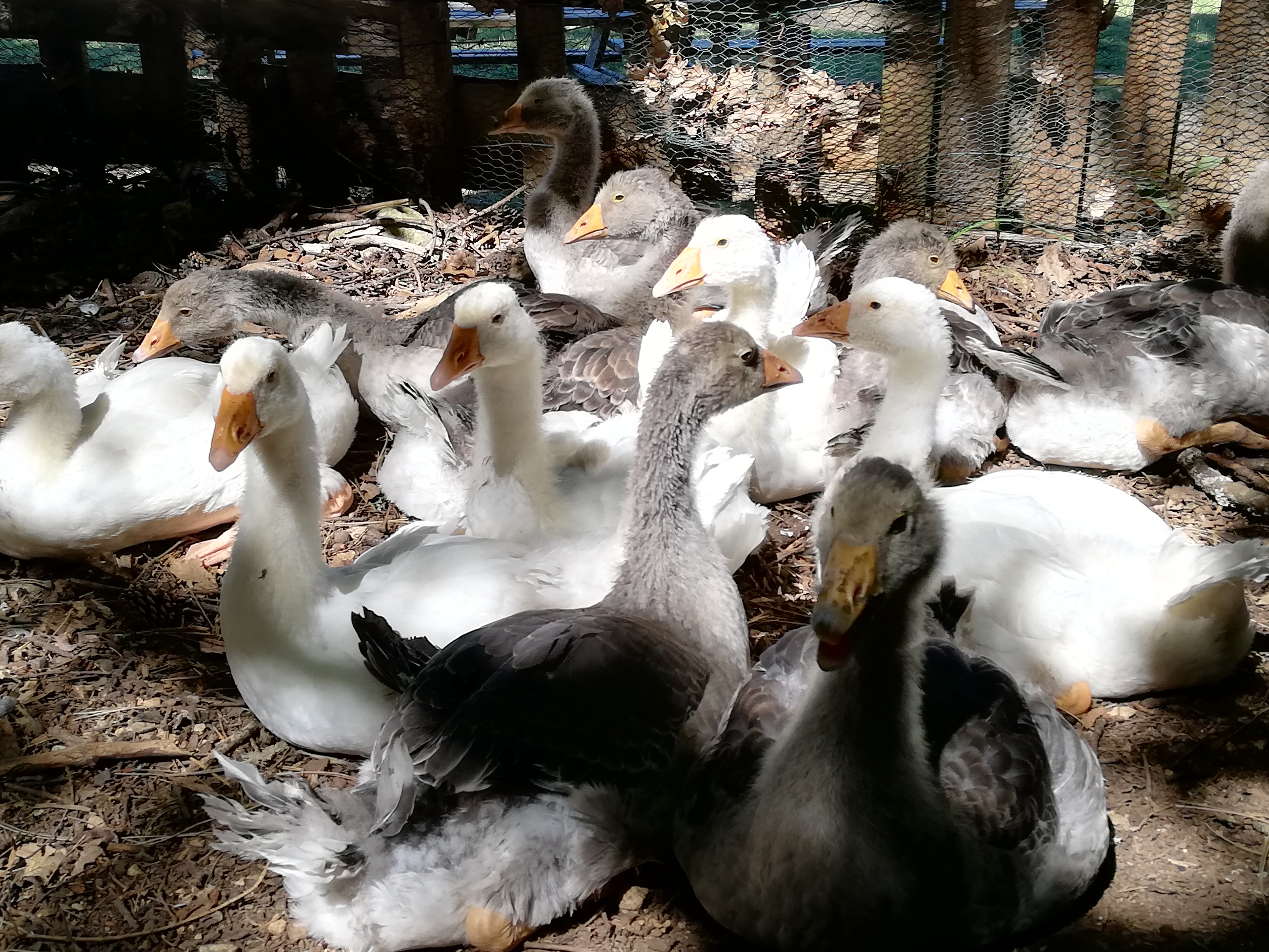 Photo n° 1 de l'avis de max.e fait le 17/07/2022 à 15:53