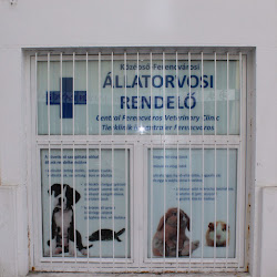 Középső-Ferencvárosi állatorvosi rendelő