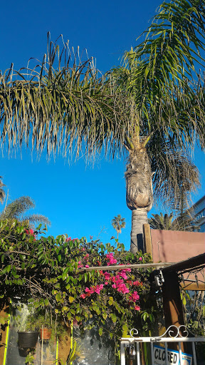 Siamese Garden image