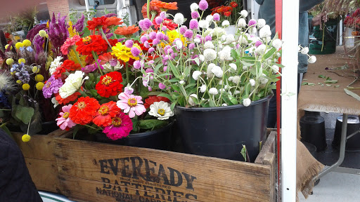 Bakery «McDuffies Bakery», reviews and photos, 9920 Main St, Clarence, NY 14031, USA