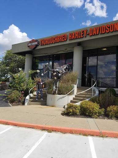 Thoroughbred Harley-Davidson, 8025 Action Blvd, Florence, KY 41042, USA, 