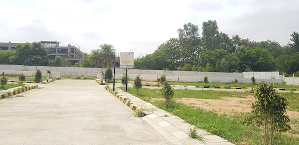 Google Maps image 15