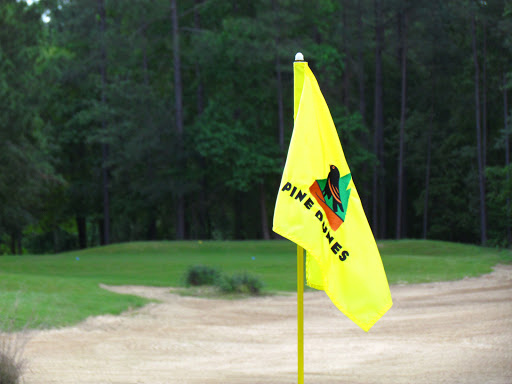 Golf Course «Pine Dunes Golf Course», reviews and photos, 159 Private Rd 7019, Frankston, TX 75763, USA