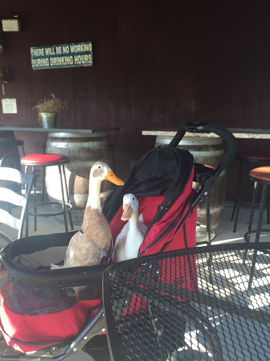 Winery «Priam Vineyards», reviews and photos, 11 Shailor Hill Rd, Colchester, CT 06415, USA