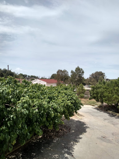 Centro Clinico Jineth Del Carmen