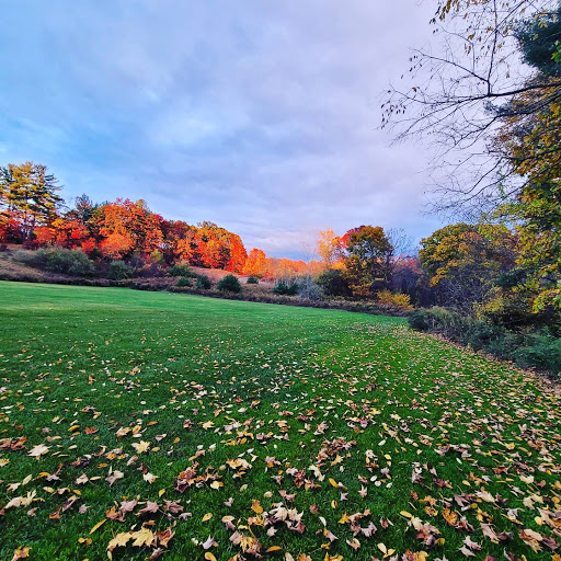 Park «Ellsworth McAfee Park», reviews and photos, 363 South St, Northborough, MA 01532, USA
