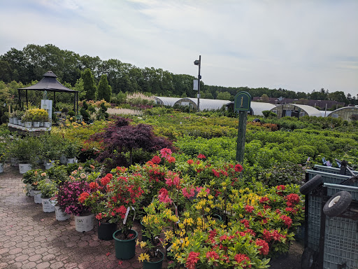 Garden Center «Sixteen Acres Garden Center», reviews and photos, 1359 Wilbraham Rd, Springfield, MA 01119, USA