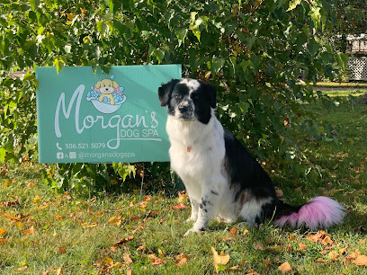 Morgan's Dog Spa