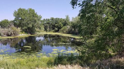 Golf Course «Valley Hi Golf Course», reviews and photos, 610 Chelton Rd, Colorado Springs, CO 80910, USA