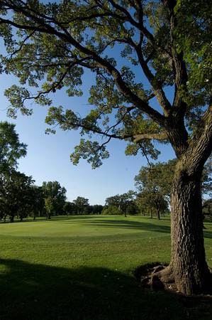 Golf Course Bellwood Oaks Golf Course reviews and photos 13239