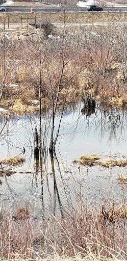 Golf Club «Golf Club At Bear Dance», reviews and photos, 6630 Bear Dance Dr, Larkspur, CO 80118, USA