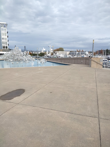 Art Museum «Tacoma Art Museum», reviews and photos, 1701 Pacific Ave, Tacoma, WA 98402, USA