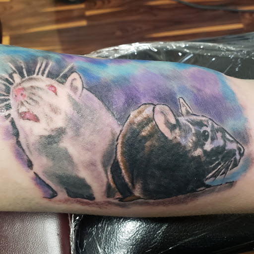 Explore womens shoulder tattoo ideas, creative tattoo ideas in Flint, available at Black Eye Social Club Tattoo