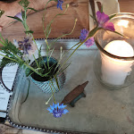 Photo n°2 de l'avis de Anja.c fait le 28/06/2020 à 08:48 sur le  Schmiedelandhaus Greifendorf à Rossau