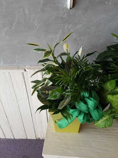 Florist «Tampa Flowers and Baskets», reviews and photos, 4719 Normandy Dr, Tampa, FL 33615, USA