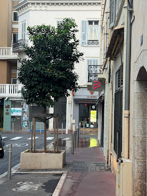 Stephane Plaza Immobilier Cannes Croisette à Cannes