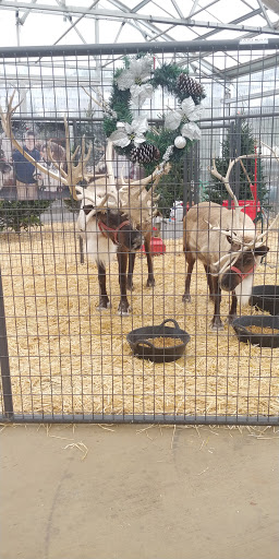 Garden Center «Bucks Country Gardens», reviews and photos, 1057 N Easton Rd, Doylestown, PA 18902, USA