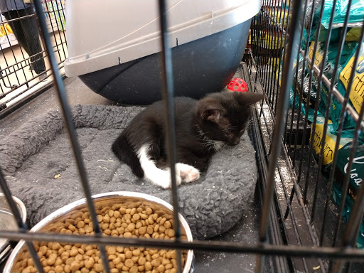 Pet Store «Pet World Warehouse Outlet», reviews and photos, 2984 S 108th St, Milwaukee, WI 53227, USA