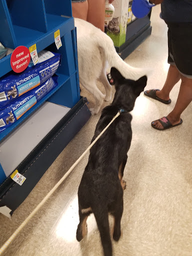 Pet Supply Store «PetSmart», reviews and photos, 12046 Paul Mayer Ave, Bridgeton, MO 63044, USA