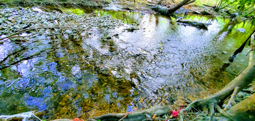 Park «John James Park», reviews and photos, 3910 Rittiman Rd, San Antonio, TX 78234, USA