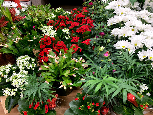 Home Improvement Store «The Home Depot», reviews and photos, 11071 W National Ave, West Allis, WI 53227, USA