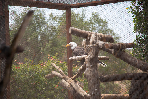 The Teaching Zoo at Moorpark College image