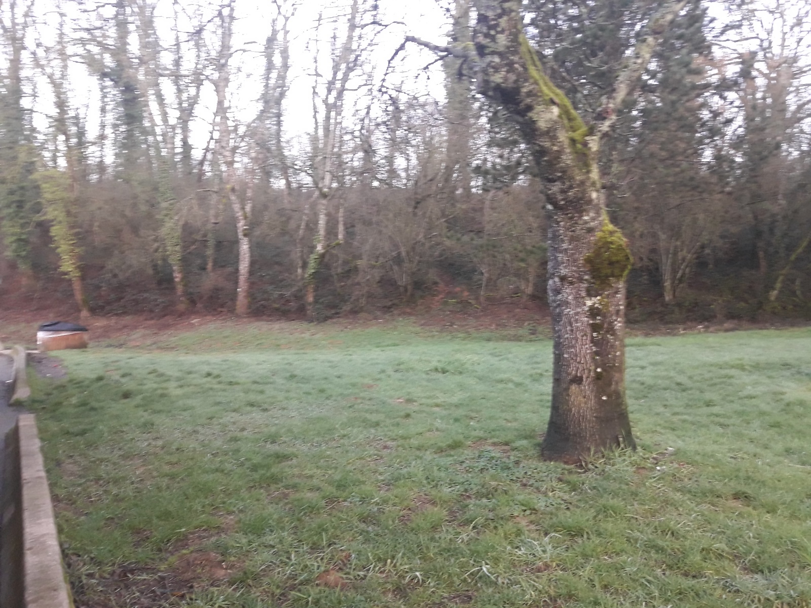 Photo n° 3 de l'avis de El.e fait le 03/03/2020 à 06:20