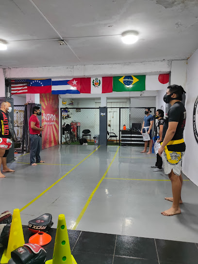 ESCUELA PITBULL ARTES MARCIALES MIXTAS