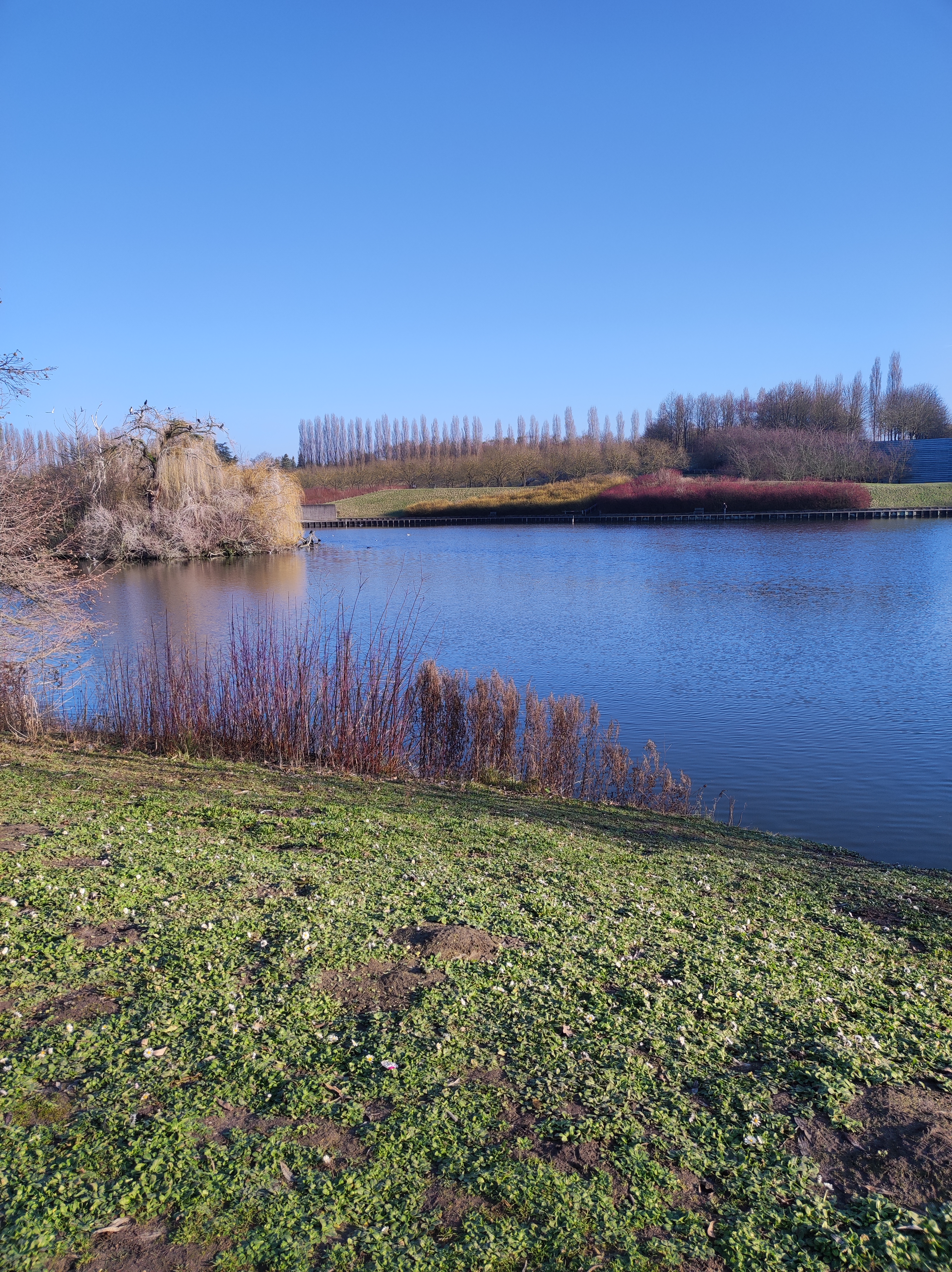 Photo n° 2 de l'avis de Yacine. fait le 22/03/2022 à 16:48