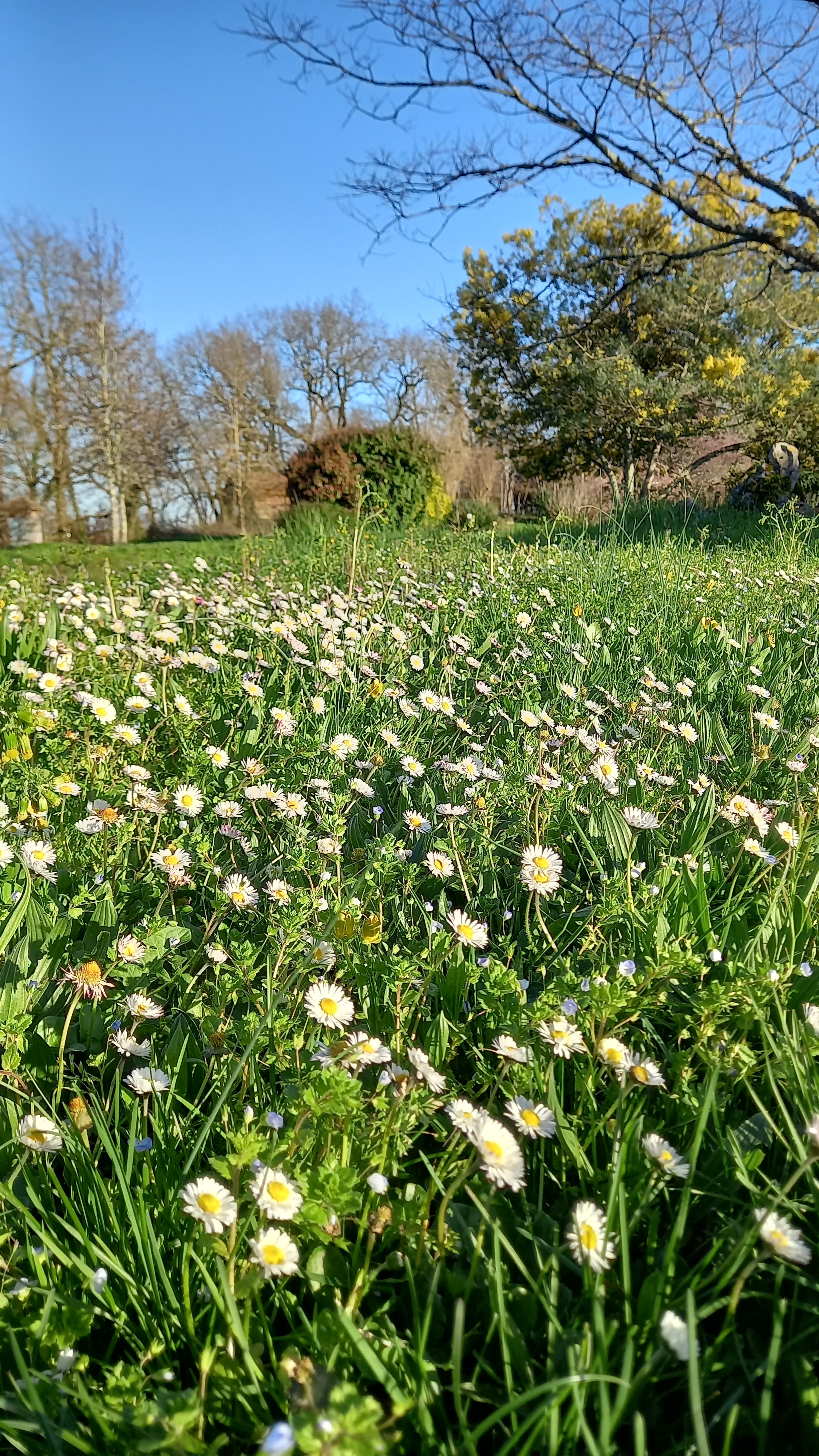 Photo n° 2 de l'avis de Pascal.a fait le 15/03/2024 à 18:09