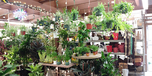 Garden Center «International Garden and Floral Design Center», reviews and photos, 155 N Sepulveda Blvd, El Segundo, CA 90245, USA
