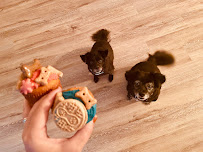 Pawsome Cakes Dog Bakery - Photo 6 - Car repair in Fort Lauderdale, FL, Pembroke Pines