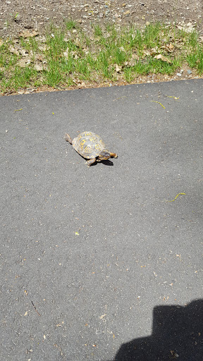 Nature Preserve «Eliason Nature Reserve», reviews and photos, 9501 Shaver Rd, Portage, MI 49024, USA