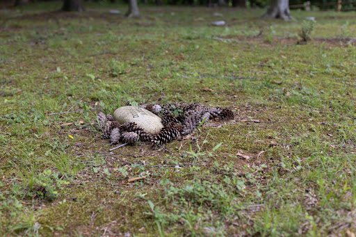 Cremation Service «Lasting Tributes Cremation and Funeral Care», reviews and photos, 814 Bestgate Rd, Annapolis, MD 21401, USA