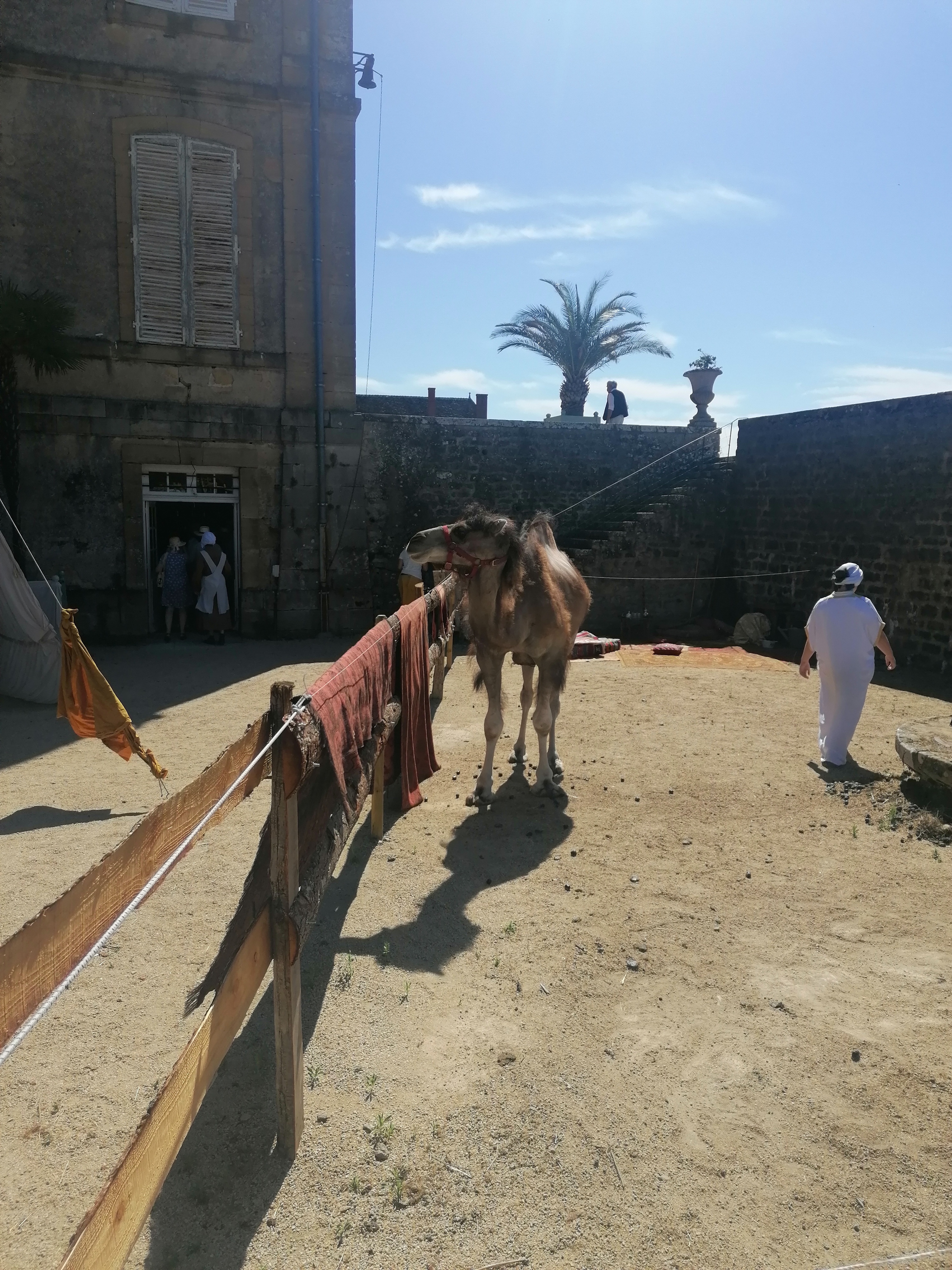 Photo n° 4 de l'avis de Francois.h fait le 09/07/2023 à 12:36