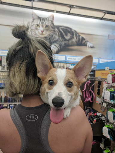 Pet Supply Store «Petco Animal Supplies», reviews and photos, 5177 Eldorado Pkwy, Frisco, TX 75033, USA