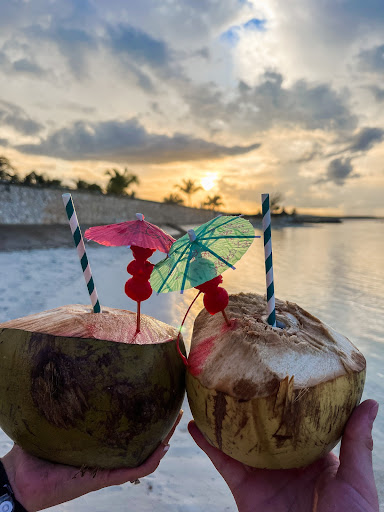 Travel Agency «Pixie Vacations», reviews and photos, 149 Misty Valley Dr, Canton, GA 30114, USA