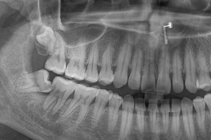 Dentist Shree image