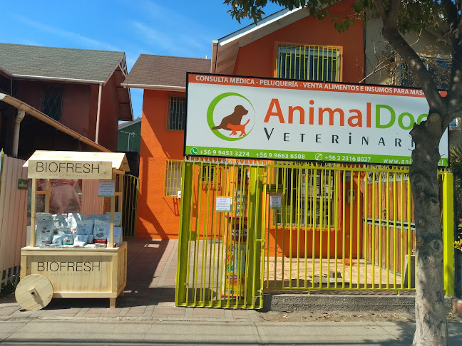 Opiniones de Veterinaria Animal Doc Limitada en San Bernardo - Veterinario