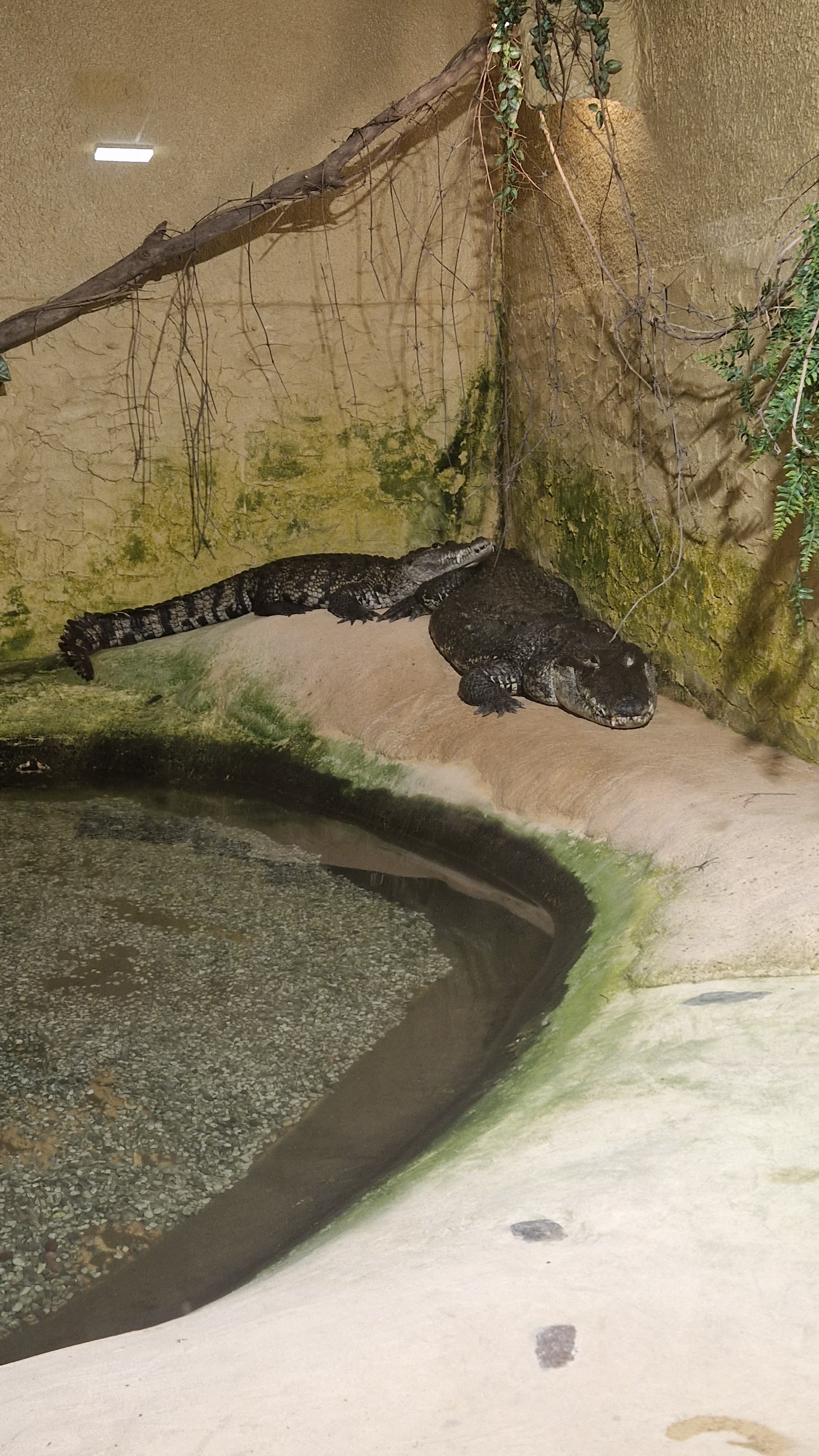 Photo n° 2 de l'avis de Dominique.r fait le 23/05/2023 à 15:21