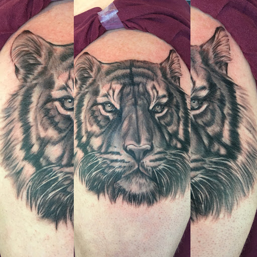 Tattoo Shop «Moth Studio», reviews and photos, 428 W Commercial St, Springfield, MO 65803, USA