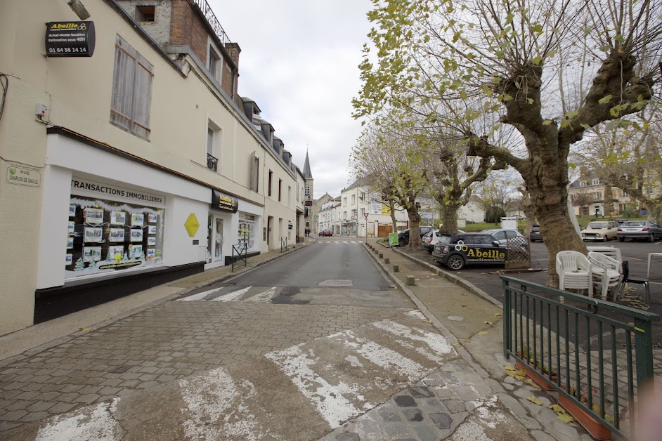 Abeille Conseil Immobilier à Saint-Chéron (Essonne 91)