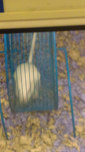 Pet Supply Store «PetSmart», reviews and photos, 8660 Airline Hwy, Baton Rouge, LA 70815, USA