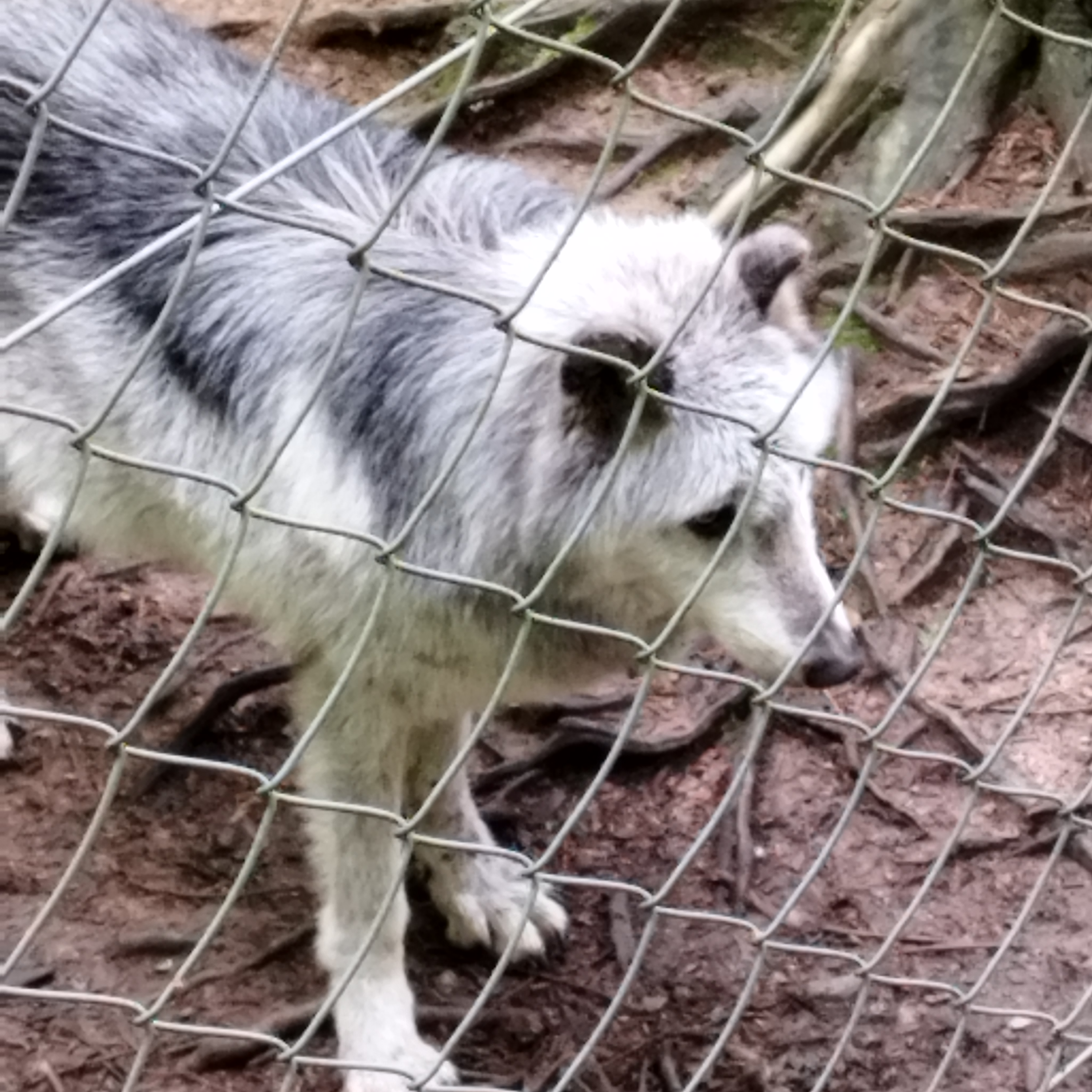 Photo n° 1 de l'avis de Damien.o fait le 16/05/2023 à 16:43