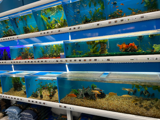 Pet Supply Store «Pet Supermarket», reviews and photos, 2449 S Hiawassee Rd, Orlando, FL 32835, USA