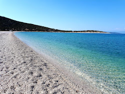 Paralia Salanti'in fotoğrafı çok temiz temizlik seviyesi ile