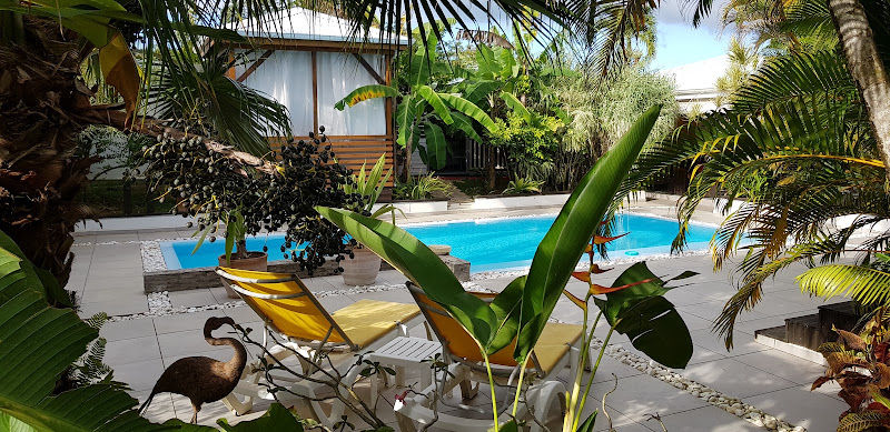 Villa Zandoli — piscine tropicale et jardin, Baie-Mahault, Guadeloupe