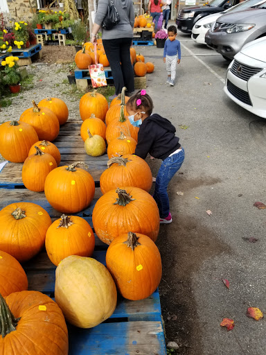 Produce Market «Highland Orchards Farm Market», reviews and photos, 1431 Foulk Rd, Wilmington, DE 19803, USA